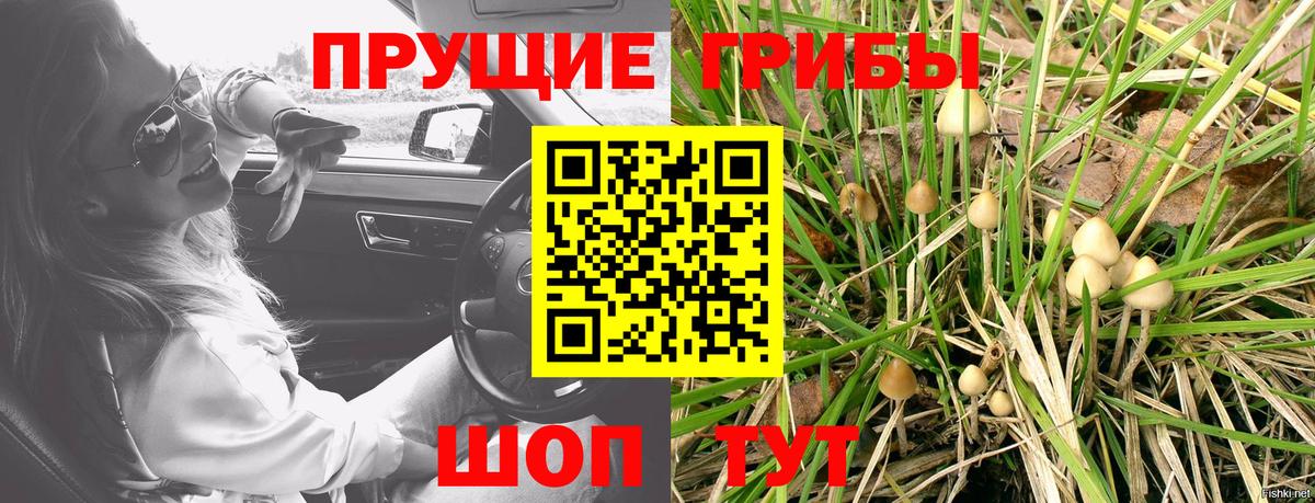 Псилоцибиновые грибы мицелий Верхний Уфалей