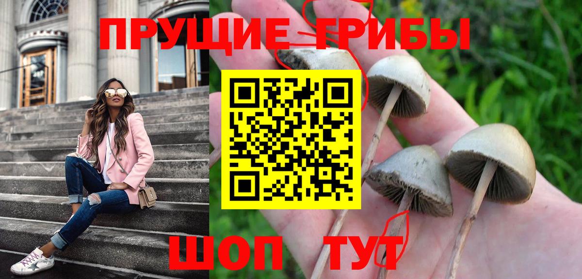 Верхний Уфалей  Псилоцибиновые грибы Psilocybine cubensis  купить наркотик  Вход с VPN 