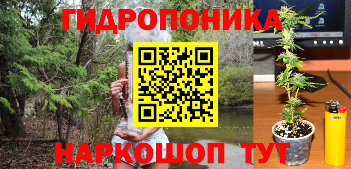 Бошки марихуана конопля  Каннабис план  Марихуана Bruce Banner  Верхний Уфалей  Вход с VPN 